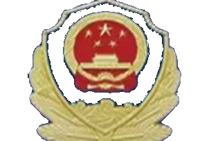 公安备案